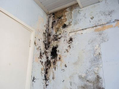 About Local Water Damage Experts - water damage restoration experts in Five Points, AL